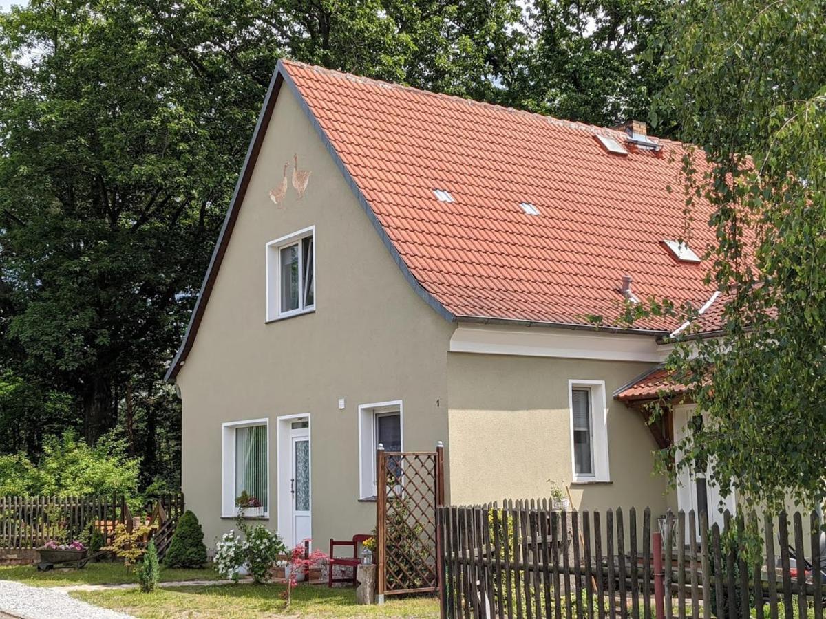 Helenes Ferienwohnung Auf Dem Bauernhof - Lausitzer Seenland Lauta Buitenkant foto
