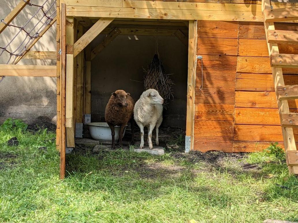 Helenes Ferienwohnung Auf Dem Bauernhof - Lausitzer Seenland Lauta Buitenkant foto