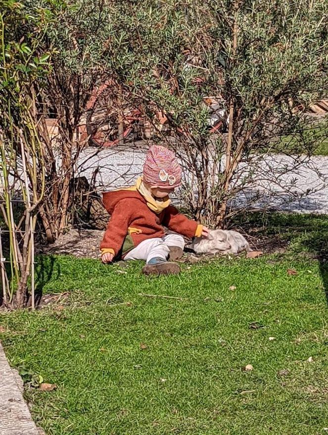 Helenes Ferienwohnung Auf Dem Bauernhof - Lausitzer Seenland Lauta Buitenkant foto