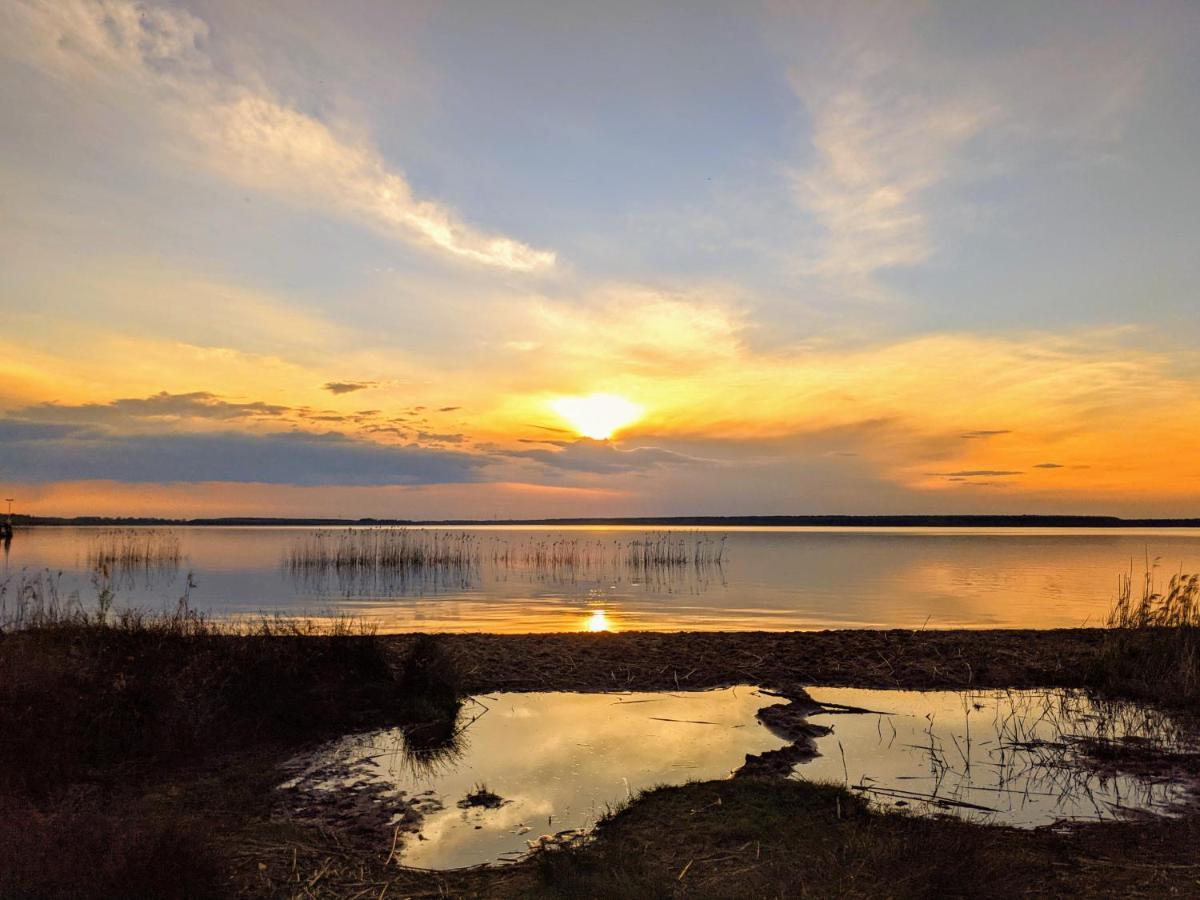 Helenes Ferienwohnung Auf Dem Bauernhof - Lausitzer Seenland Lauta Buitenkant foto