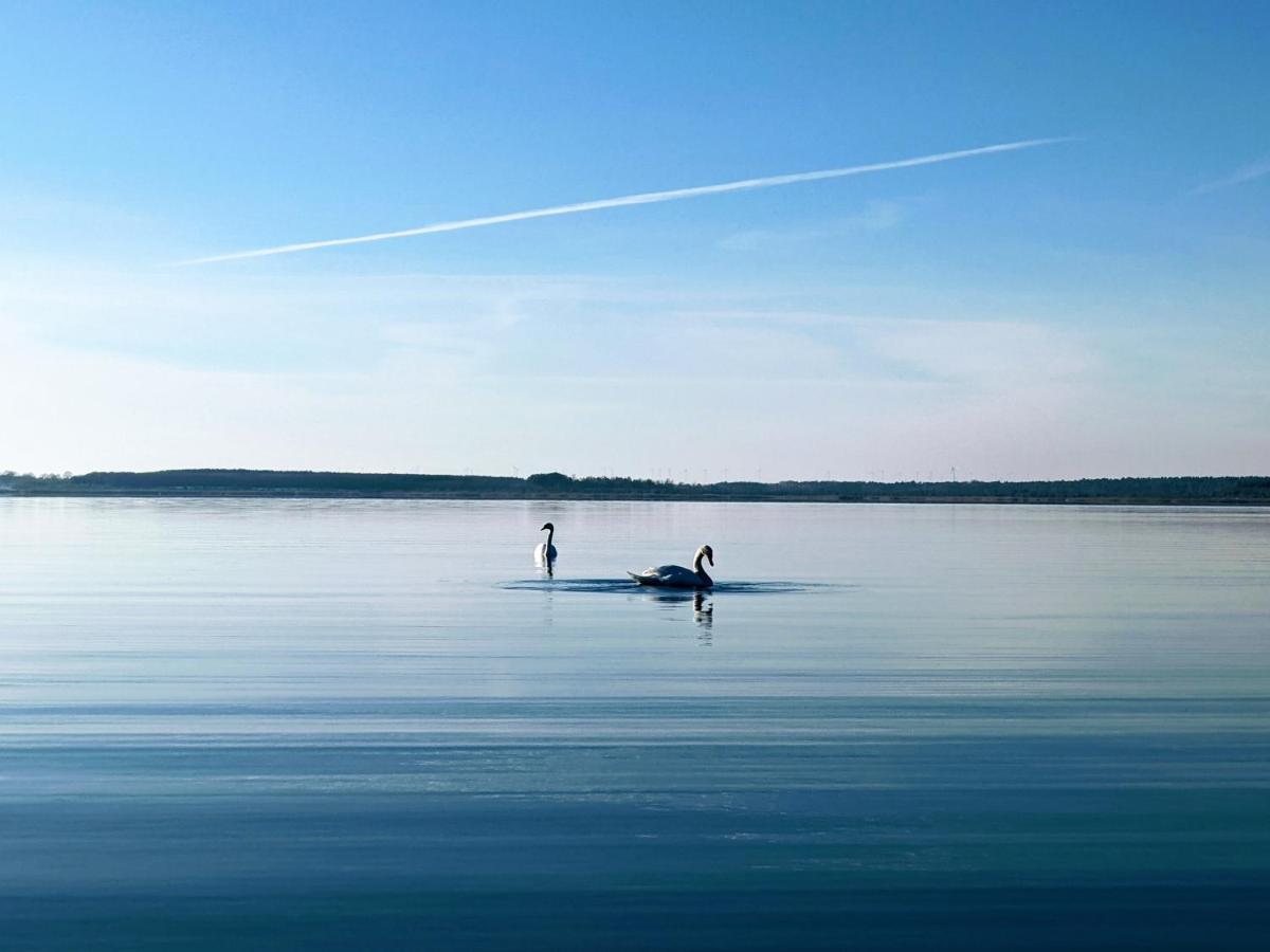 Helenes Ferienwohnung Auf Dem Bauernhof - Lausitzer Seenland Lauta Buitenkant foto