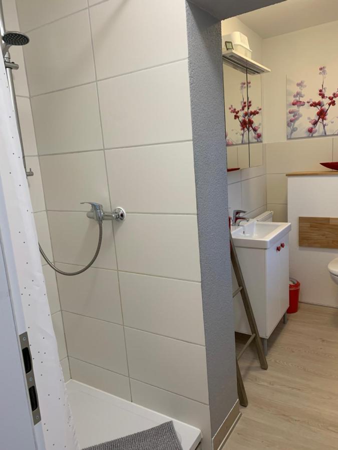 Helenes Ferienwohnung Auf Dem Bauernhof - Lausitzer Seenland Lauta Buitenkant foto