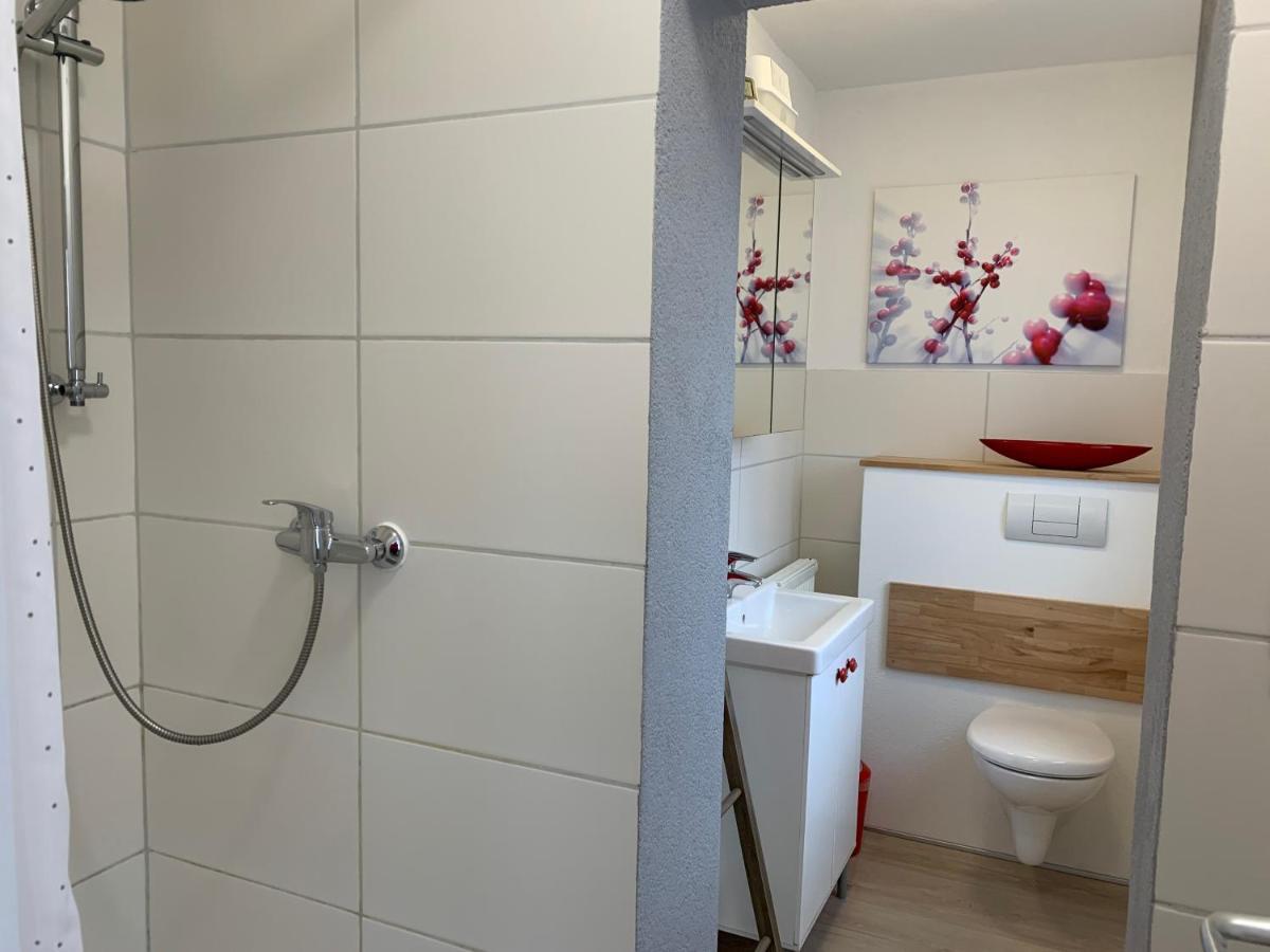 Helenes Ferienwohnung Auf Dem Bauernhof - Lausitzer Seenland Lauta Buitenkant foto